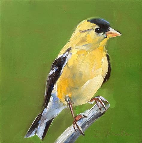 Goldfinch #1 Painting by Gary Bruton - Fine Art America