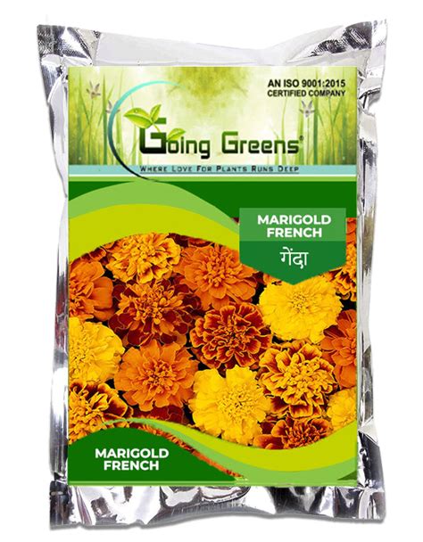 Marigold french Flower Seeds – Going Greens