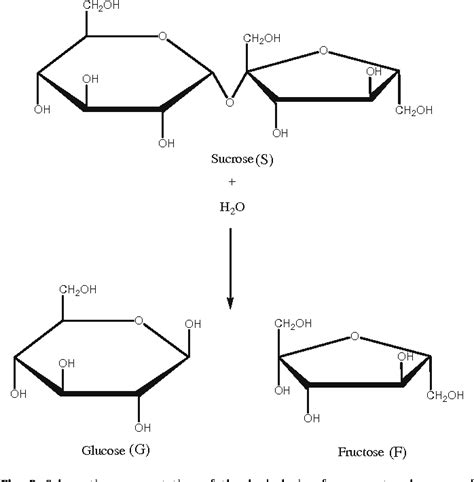 Figure 2 from Hydrolysis of sucrose using sulfonated poly(vinyl alcohol) as catalyst. | Semantic ...