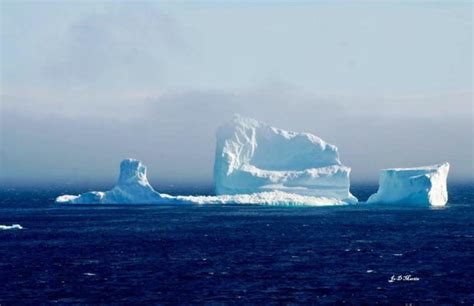 Massive iceberg stuck in shallow water off the coast of Ferryland, Newfoundland awes Canadians ...