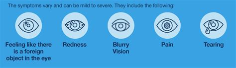 Contact Lens Fitting Vs. Eye Exam (2022 Ultimate Guide)