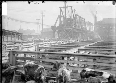 These 7 Rare Photos Show Chicago's Meat Packing History Like Never Before | Chicago ...