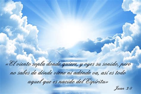 Collection Frases Para Aniversario De Difuntos Png Graci – Modafinil24