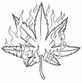 Weed Coloring pages To Print  Free Printable Pages sketch template