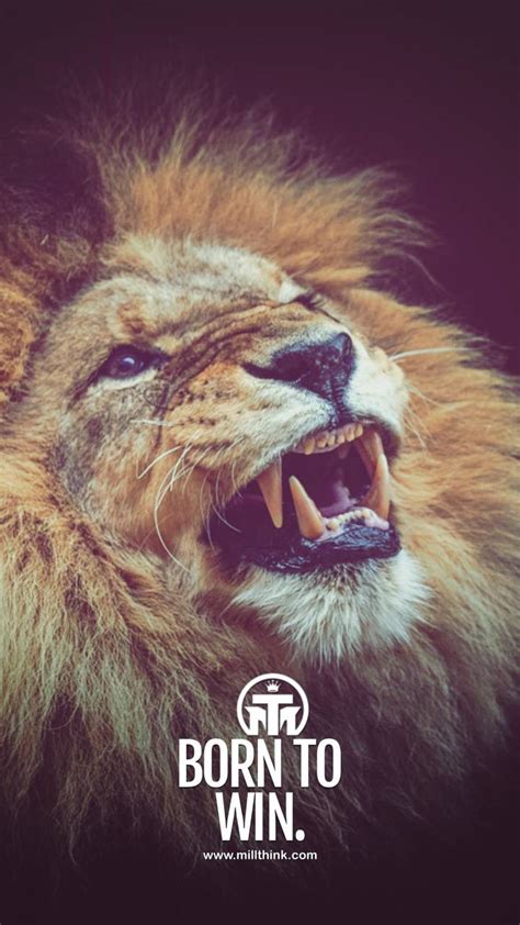 Lion Motivation Wallpapers - Top Free Lion Motivation Backgrounds ...