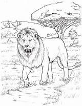 Pin by Terri Vance Hoy On coloring Pages  Coloring Humanoid sketch template
