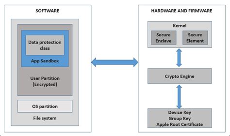 Mobile Application Penetration Testing