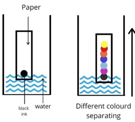 Paper Chromatography Diagram