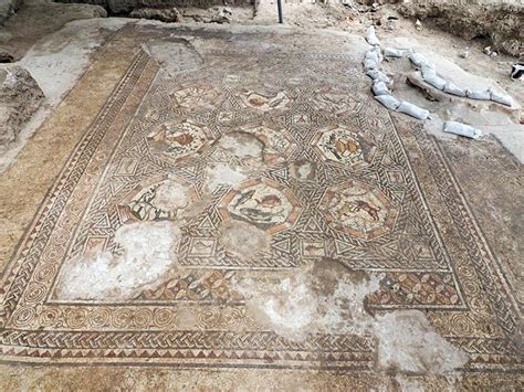 Hidden Ancient Mosaic Discovered in Israel - artnet News