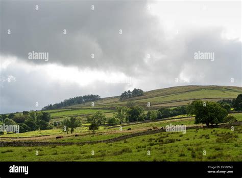 Rolling countryside in Cumbria, UK Stock Photo - Alamy