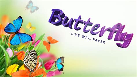 Free Live Butterfly Wallpapers - WallpaperSafari