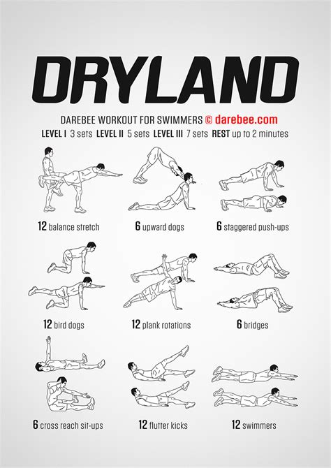 Dryland Workout