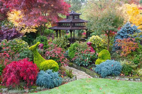 Pagoda view in autumn | Blue star juniper, Acreage landscaping ...