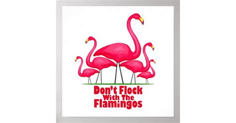 Flamingo Flamingo Poster | Zazzle