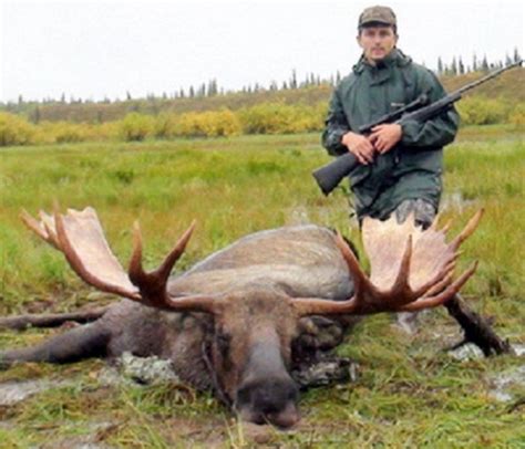 Alaska Moose Hunting 4