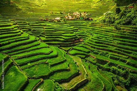 Batad Rice Terraces in Northern Luzon, Philippines. Stock Photo | Adobe Stock