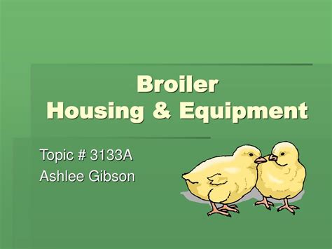 PPT - Broiler Housing & Equipment PowerPoint Presentation, free ...