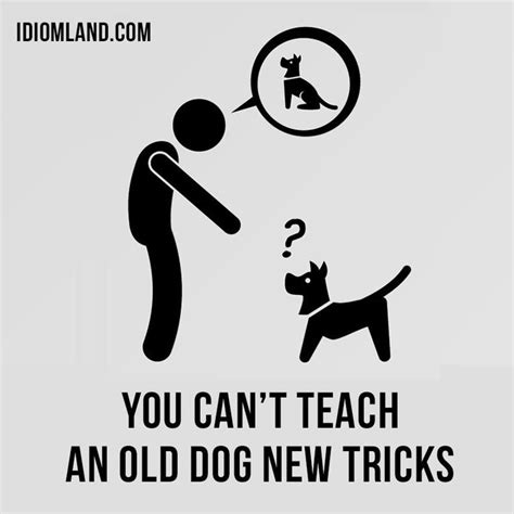 proverb "You Can't Teach An Old Dog New Tricks" | New tricks, Old dogs, Common quotes