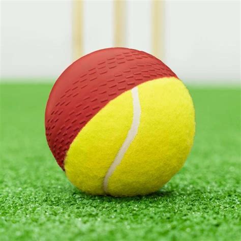 FORTRESS Cricket Swing Balls | Net World Sports