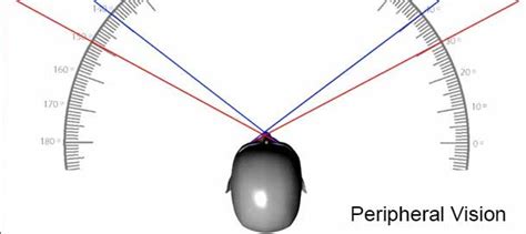 Peripheral Vision Exercise With Contact Lenses - Endmyopia®