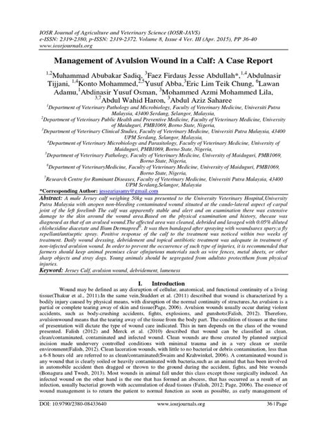 Management of Avulsion Wound in a Calf: A Case Report | Wound | Healing