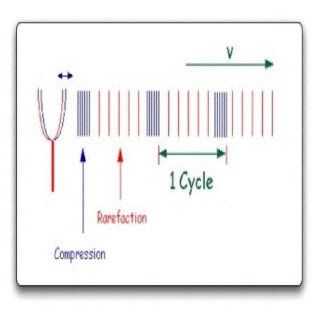 Rarefaction | Definition & Examples - Lesson | Study.com