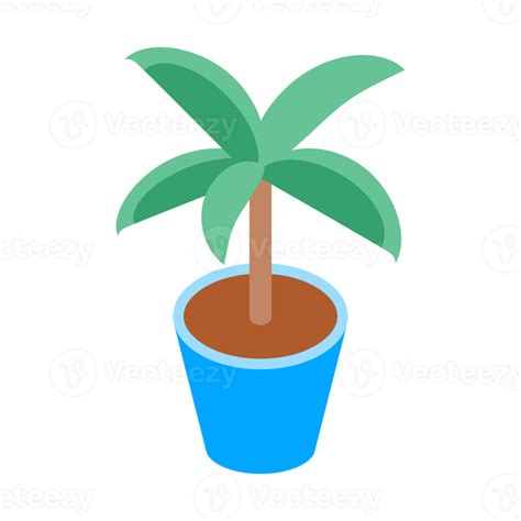 Garden Plant Decoration 24320092 PNG