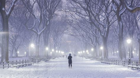 Winter in Central Park New York Wallpapers - Top Free Winter in Central Park New York ...