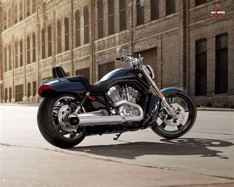 Harley Davidson V Rod Muscle Wallpapers - Wallpaper Cave