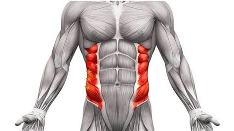 Oblique Injury - Thoracic Spine Series - Centeno-Schultz