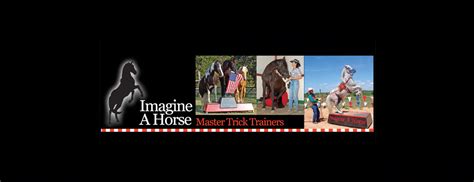 Imagine A Mini Horse Training Camp - Articles - The Northwest Horse Source