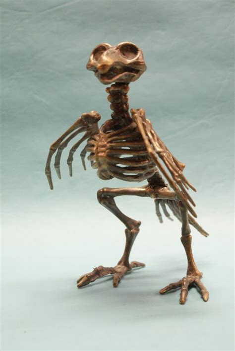 Bird Skeleton - Complete - Bronze Art by William Miles