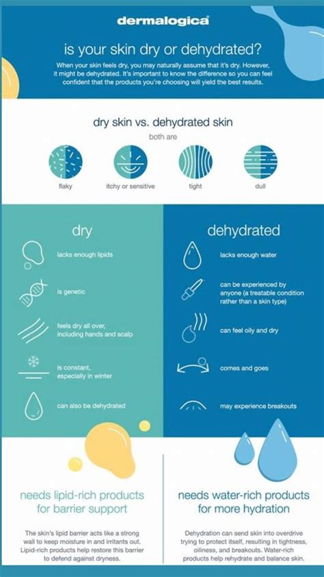 Dehydrated Skin vs Dry Skin - How to Tell the Difference?: An immersive ...