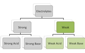 Weak Electrolyte: Definition & Examples - Video & Lesson Transcript | Study.com