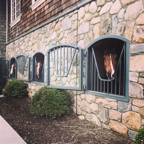 These luxurious horse stables are elegant, airy, and so beautiful that you'll want to rent out a ...