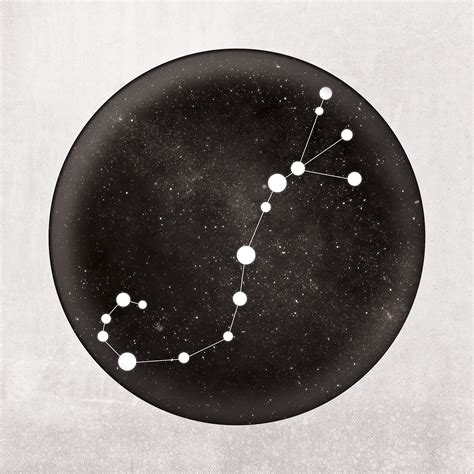 Scorpio Constellation Art Print - Zodiac Constellations - Touch of Modern