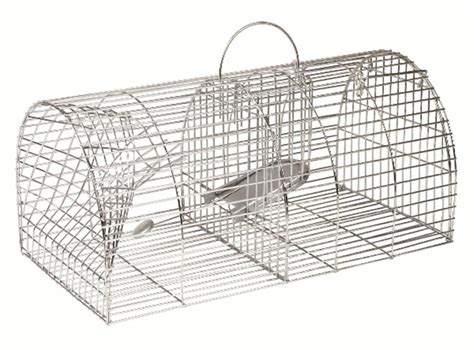 Buy Multi Catch Rat Cage Trap from Fane Valley Stores Agricultural Supplies