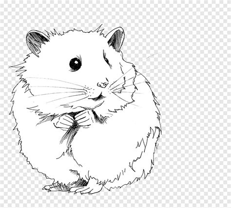 Cute Gerbil Drawing