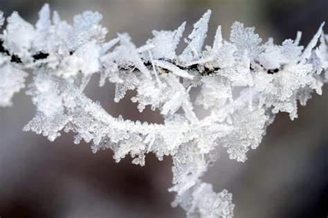 Winter Macro Photography Wallpapers - Wallpaper Cave