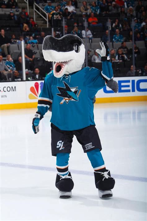 SJ Sharkie | Mascot Wiki | FANDOM ... Team Mascots, Vegas Golden ...