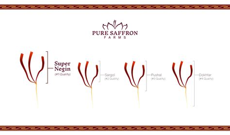 Learning the Different Grades and Qualities of Saffron - Pure Saffron Farms