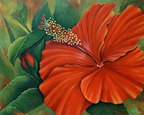 Orange-red Hibiscus Painting by Barbara Ann Robertson