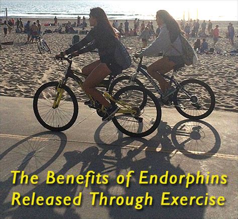 Exercise, Endorphins and Addiction Recovery - Inspire Malibu