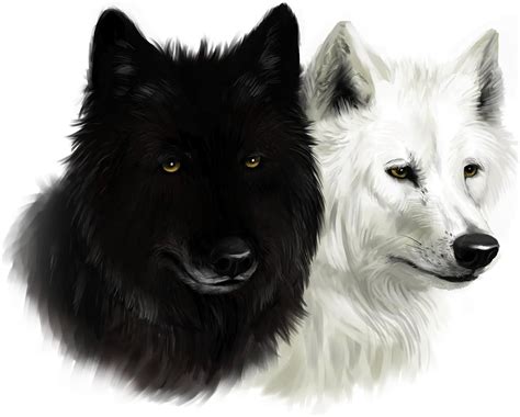 Black and White Wolf Portrait Print in Painting Style (A3 16 x 11 inch (42x28cm)): Amazon.co.uk ...