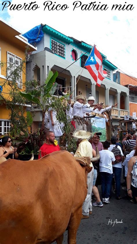 Pin on Mi Paraiso Puertorriqueño