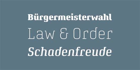 Attorney Font | Webfont & Desktop | MyFonts