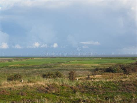 Field, Ecosystem, Grassland, Prairie Picture. Image: 118242892