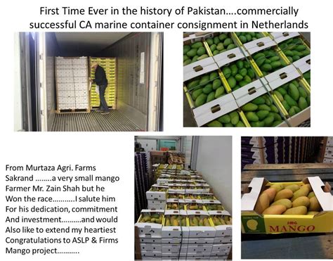 AgriHunt: First ever shipment of Pakistani Mango to Europe