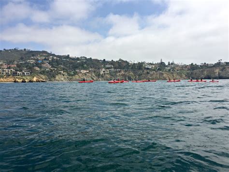 A Kayak Adventure in La Jolla - The Wandering Weekenders