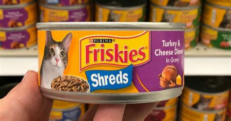 Amazon: Purina Friskies Wet Cat Food 40-Count Pack Only $16 (Just 41 ...